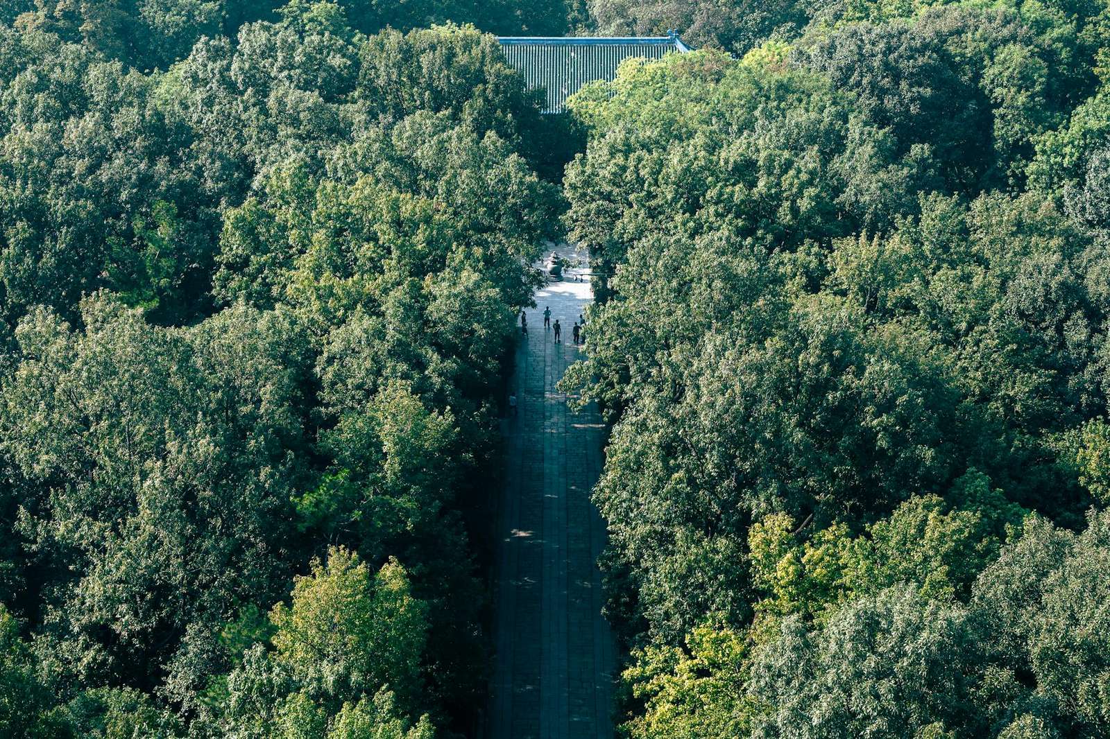谷歌浏览器高性能运行渲染示例